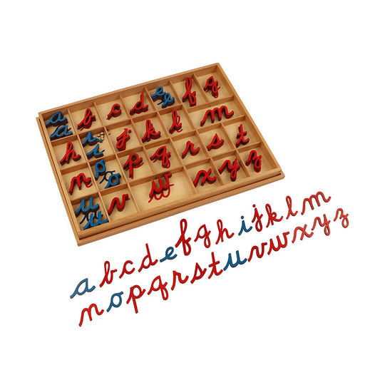 Small Cursive Moveable Alphabet